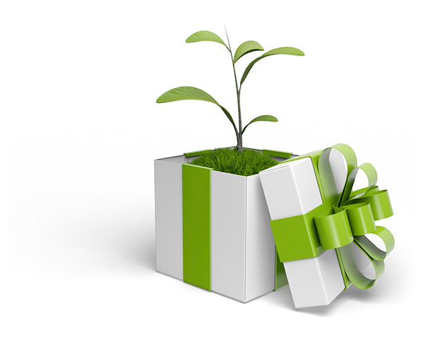 planta presente