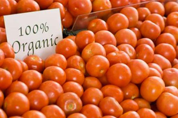 Tomates orgânicos