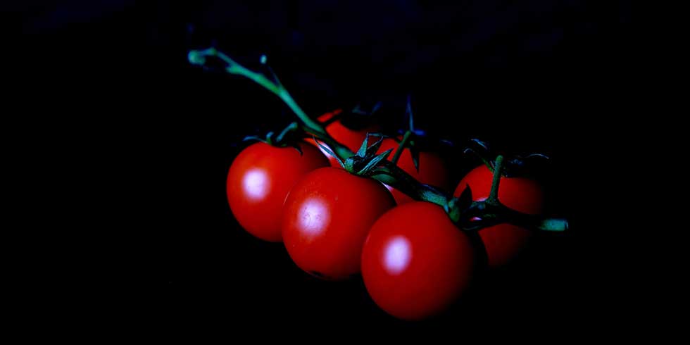 União Europeia deverá aprovar regras na rotulagem de produtos orgânicos