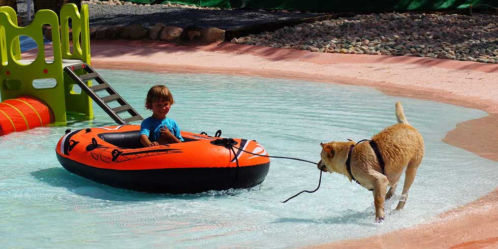 Can Janè: um resort para cães