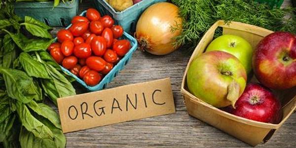 O alimento orgânico mais rico em antioxidantes