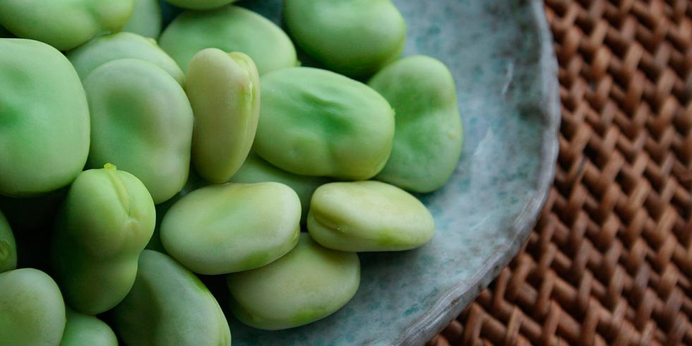 Alimentos do mês de agosto