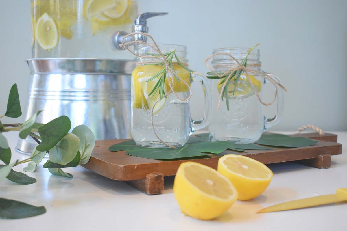 10 receitas de água aromatizada