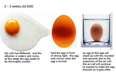 Reconhecer ovo velho