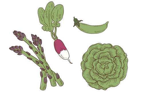 Tatuagem verduras