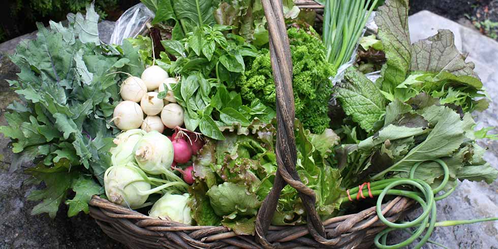 verduras abril