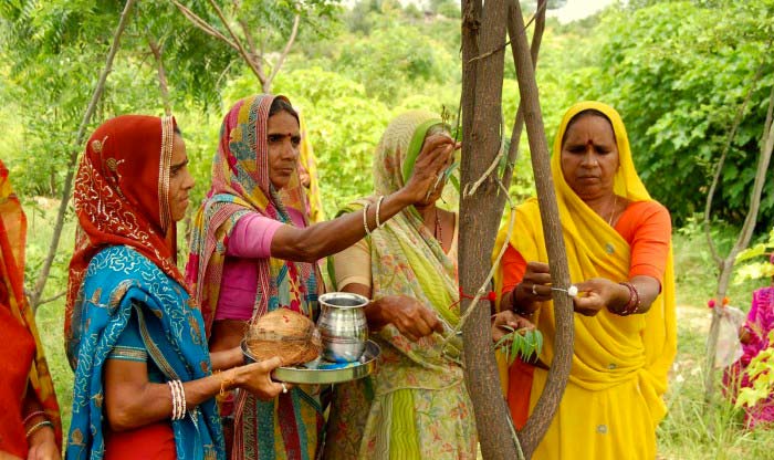 Plantando árvores na Índia