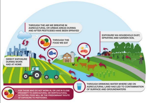 Uso de agrotóxicos e meio ambiente