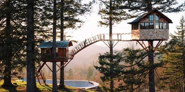 tree house capa