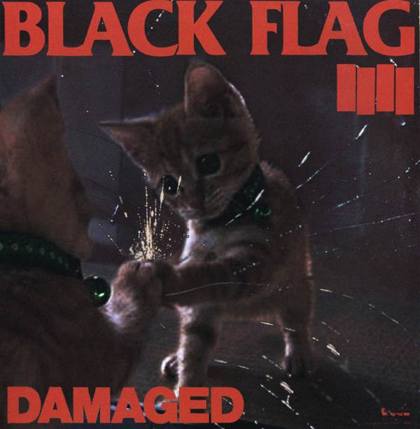 Black Flag gato