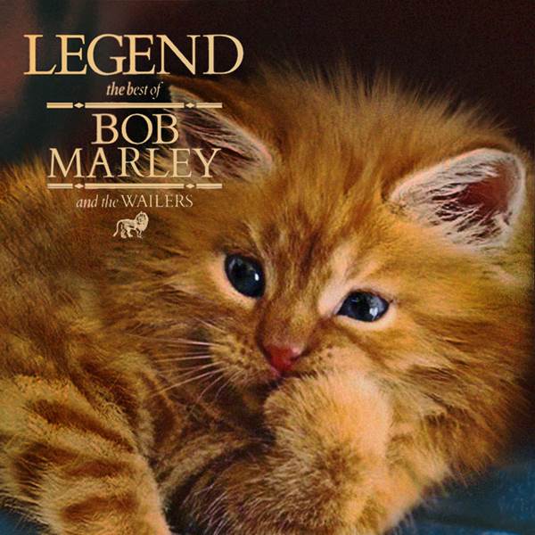 Bob Marley gato