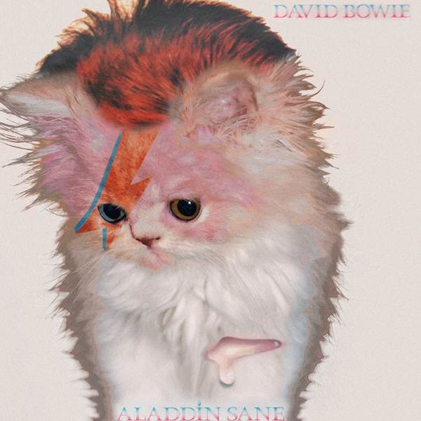 David Bowie gato