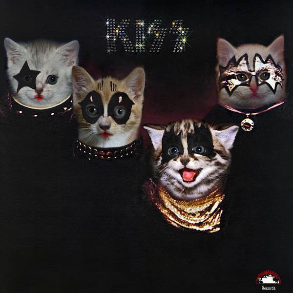 Kiss gato