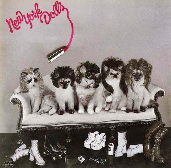 New York Dolls gato