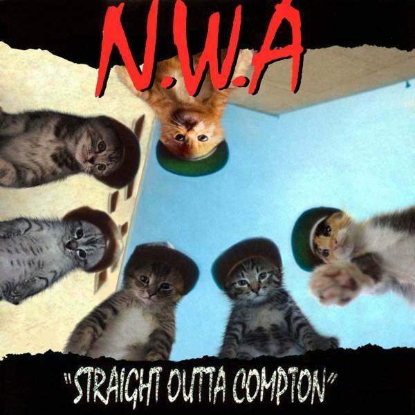 Niggas gato