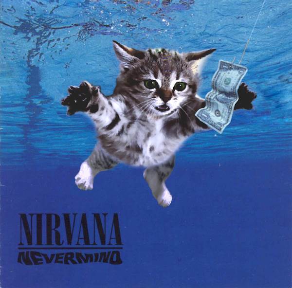 Nirvana gato