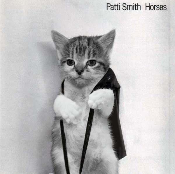 Patti Smith gato