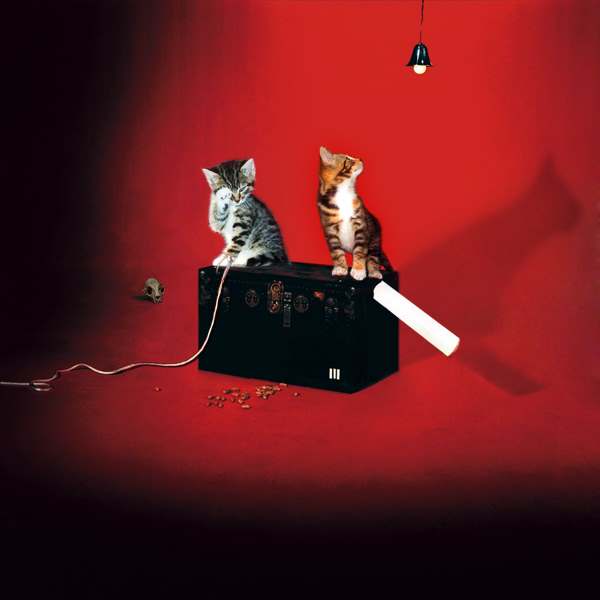 White Stripes gatos