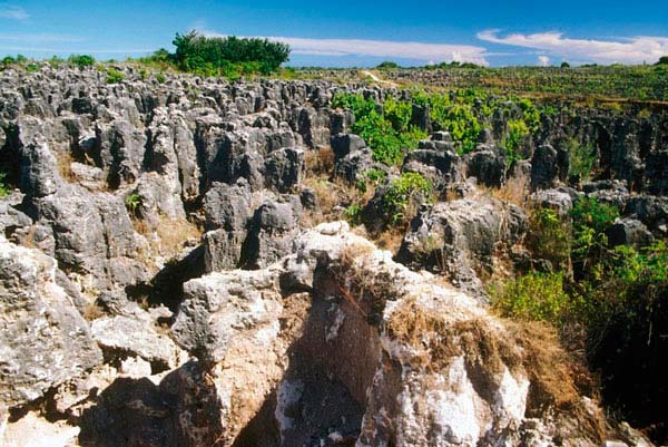 Nauru pináculos de calcários