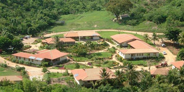 Conheça o Instituto Terra de Sebastião Salgado - GreenMe ...