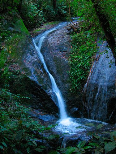 Parque Estadual da Cantareira