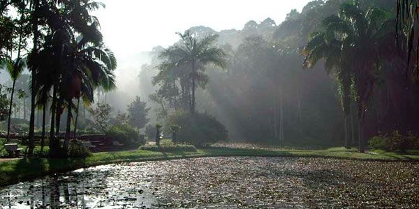 Jardim Botânico