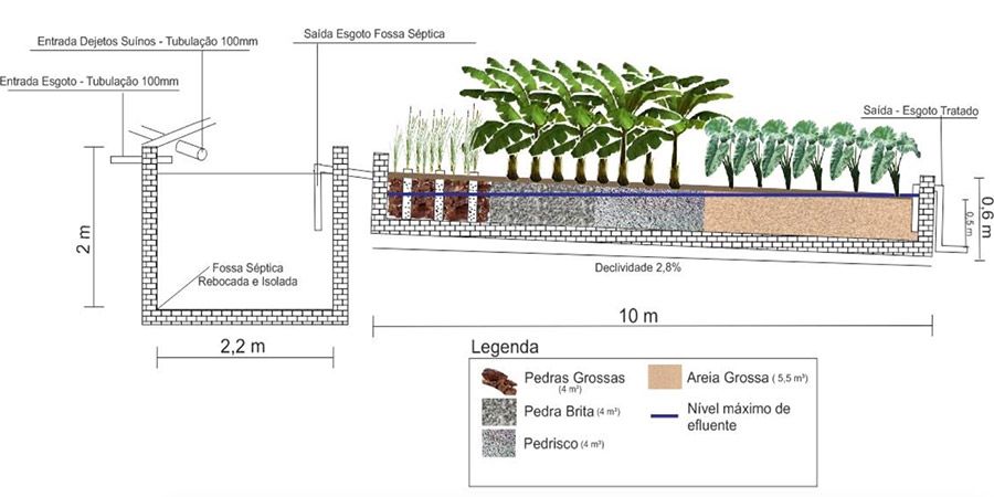 sistema natural tratamento esgoto