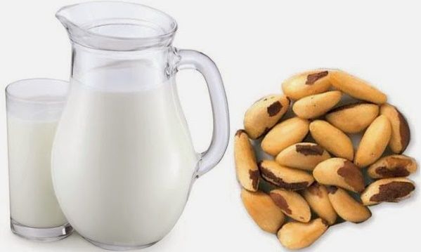 leite de castanha em casa