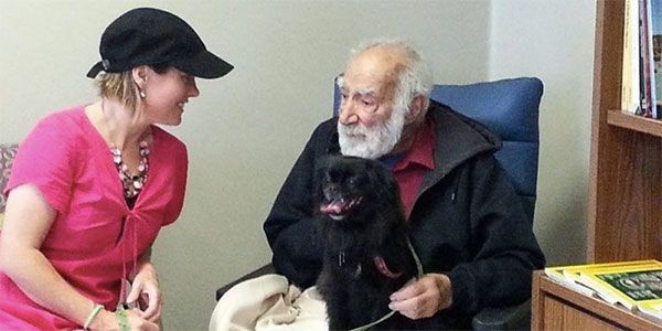animais-e-hospital
