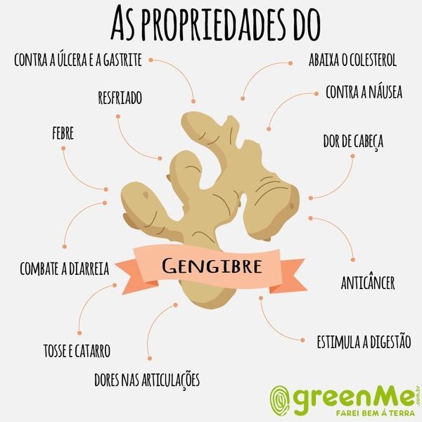 gengibre infográfico