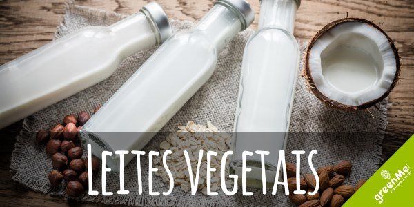 leites vegetais