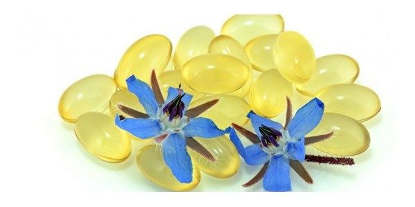 óleos vegetais: oleo de borragem