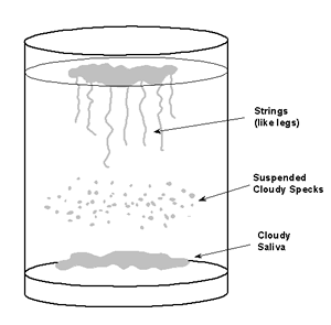 saliva glass test