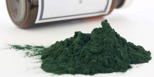 spirulina