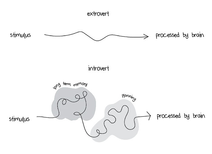extrovertidos e introvertidos 1