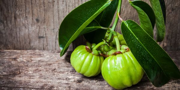 cha de garcinia efeitos colaterais