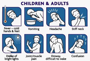 meningite infografico