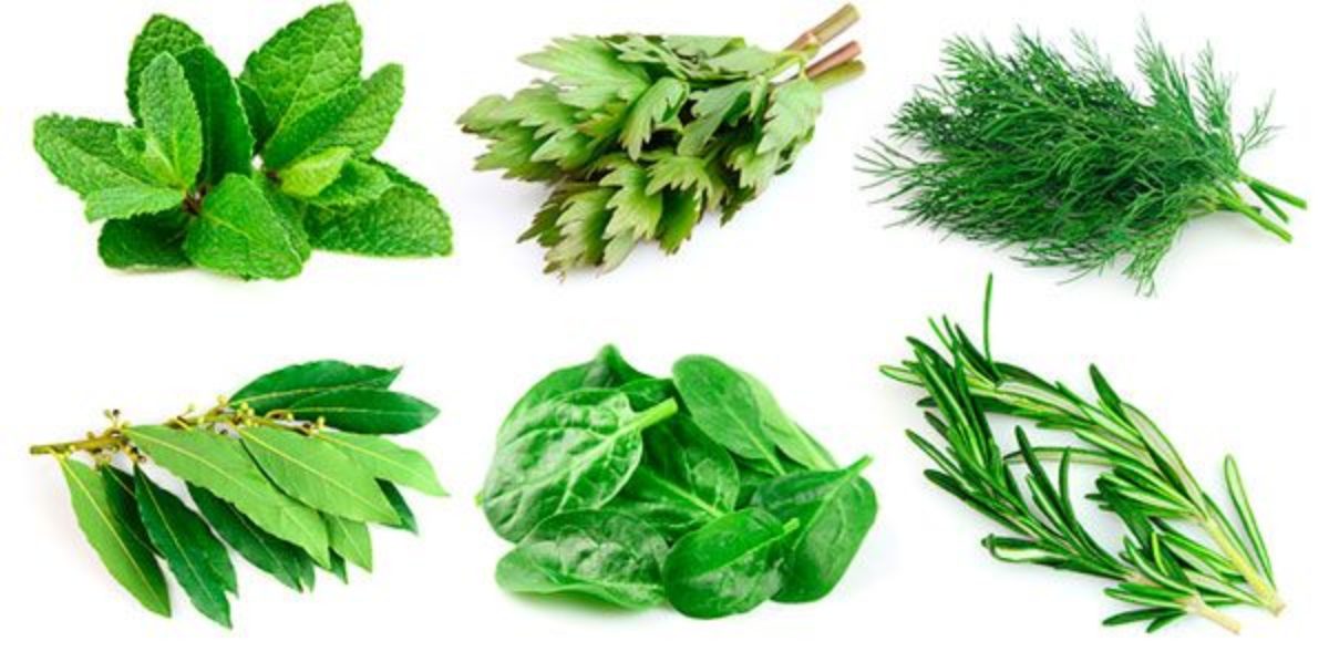 Ervas finas para dar sabor, saúde e beleza aos teus pratos ...