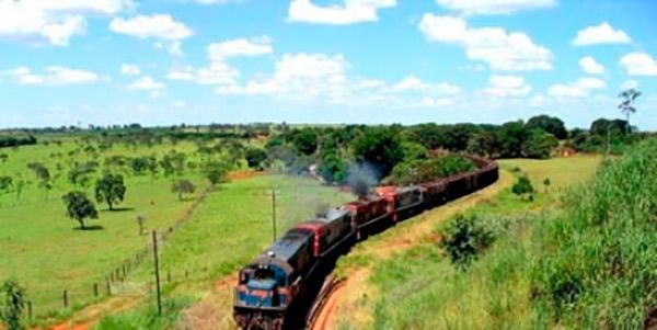 petição-trem