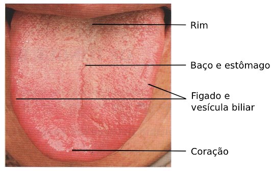 diagnostico lingua