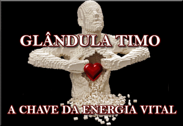 glandula timo