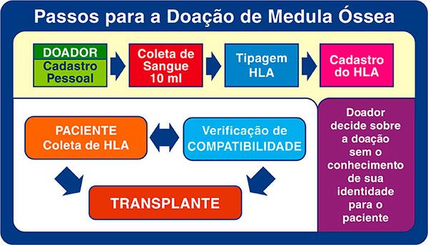 medula passos doacao