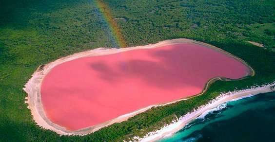 lago hillier