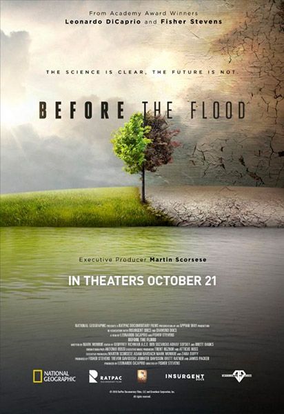 dicaprio flood 4