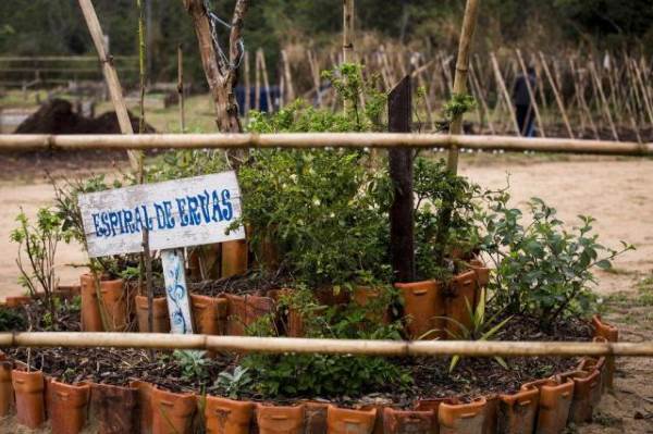 hortas-comunitarias-santa-catarina