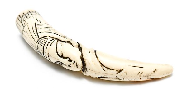marfim chifre objeto