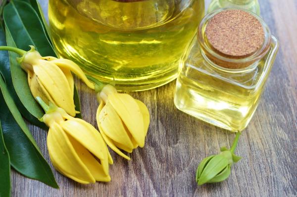 oleo ylang ylang 2