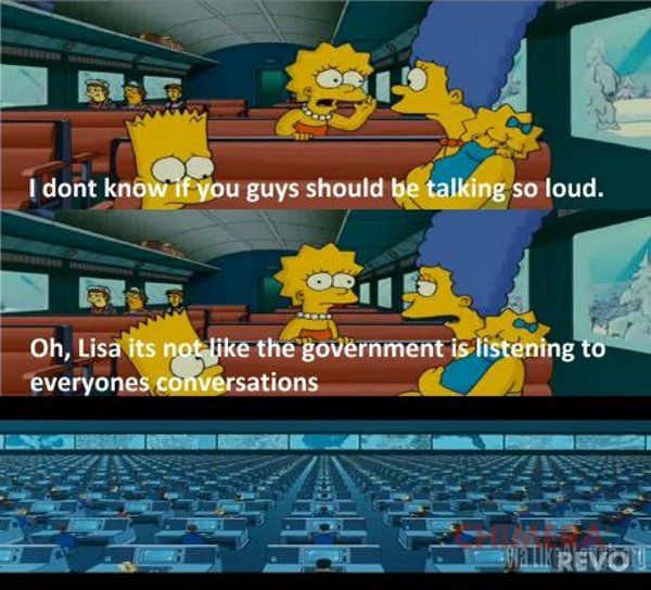 simpsons nsa