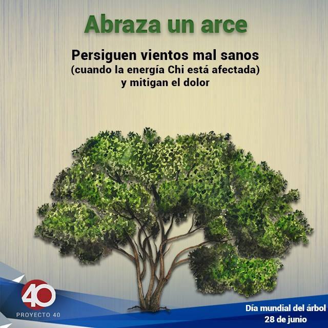 abraza arce