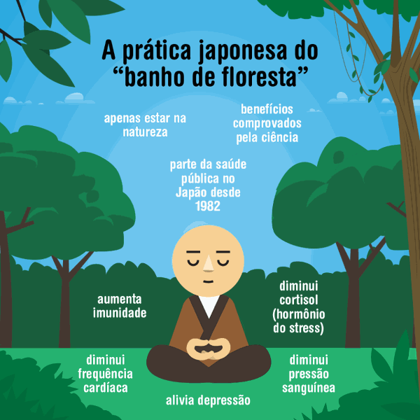 banho de foresta 2